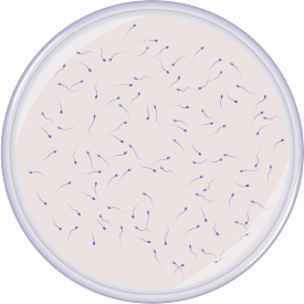Amostra ilustrativa – referência